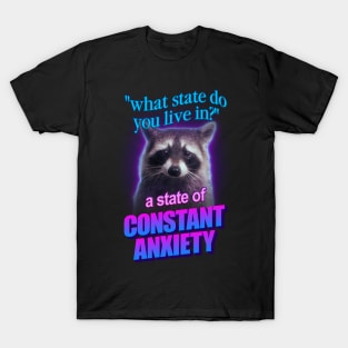 What state do you live in? a state of constant anxiety raccoon word art T-Shirt